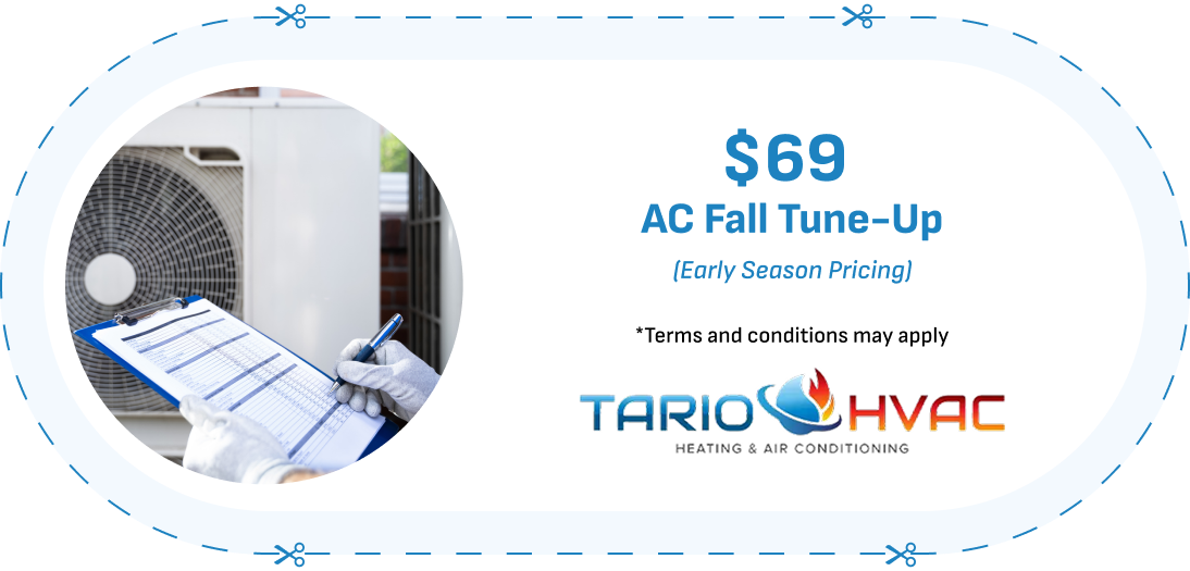 Fall Promo